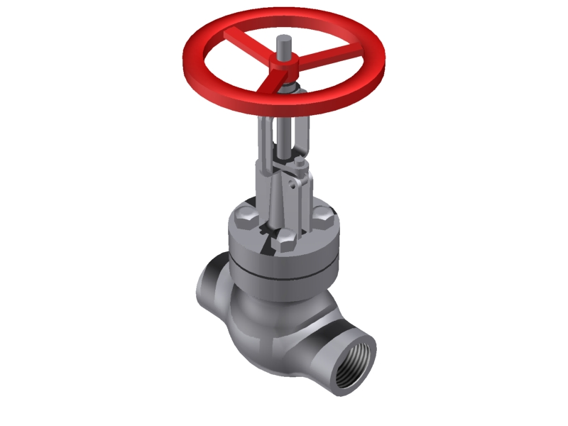 Globe Valve 1'' - 800#  SCRD::