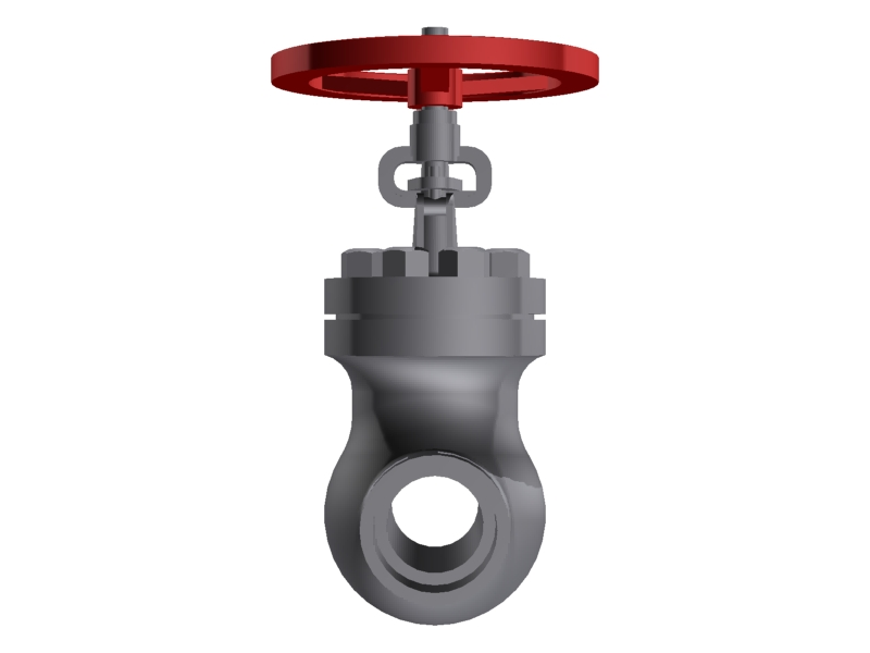 Globe Valve 2'' - 800#  SCRD::