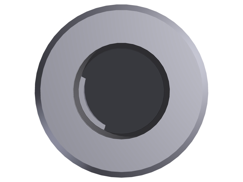 Cap 0.1/4'' - 6000# NPT::